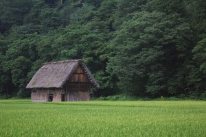 同居、アリ?ナシ?